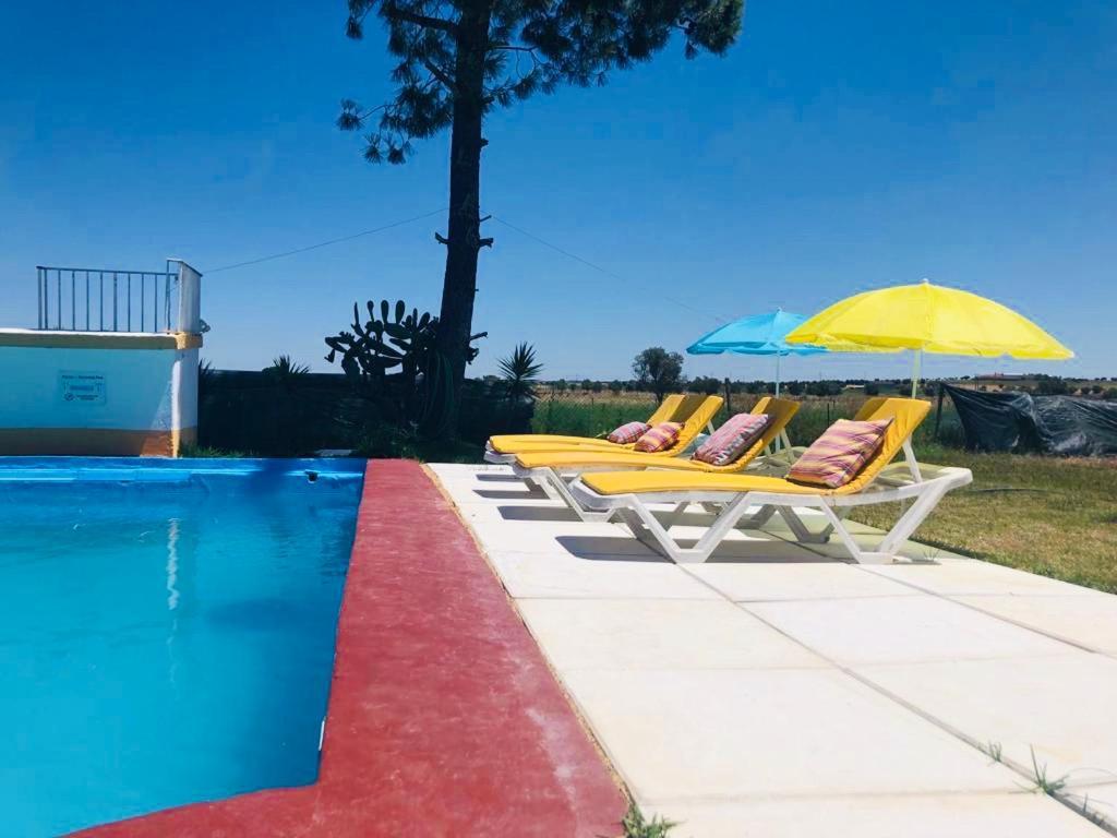 Monte Ramos Guest House Ферейра до Алентежу Екстериор снимка